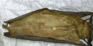 Dried Fish Skin