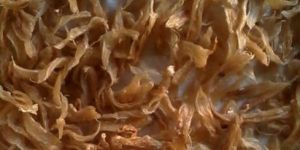 Dried Flat Soily Fish Maws