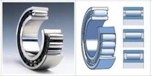 Toroidal Roller Bearing