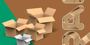 Corrugated Packaging Boxes