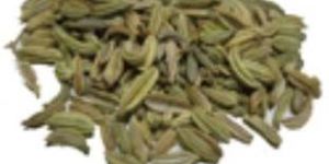 Fennel Seeds