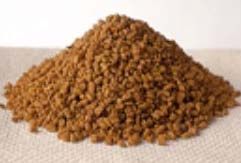 Fenugreek Seeds