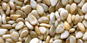 Sesame Seeds
