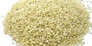 Sesame Seeds