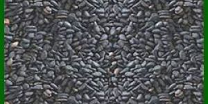 Black Sesame Seeds