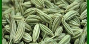 Fennel Seed