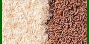 Psyllium Husk