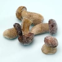 Frozen Mushroom