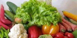 Fresh Vegetables