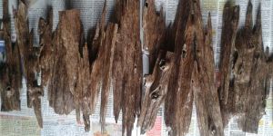 Agarwood Chips Grade C