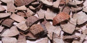 Coconut Shells