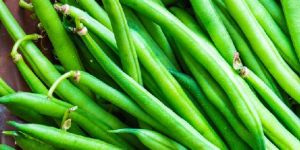 Fresh Beans