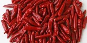 Stemless Dried Red Chilli