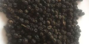 Black Pepper Seeds