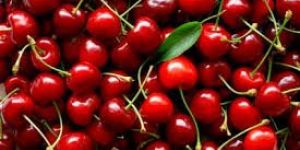 Kashmiri Cherry