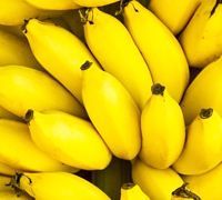Fresh Banana
