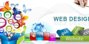 Professional Web Design Services