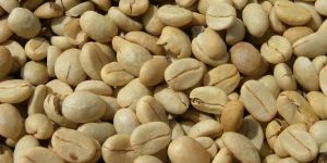 Green Coffee Bean Extract