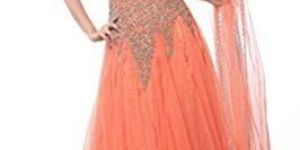 Ladies Designer Net Gown