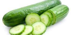Fresh Cucumber