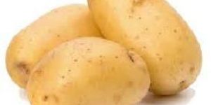 Fresh Potato