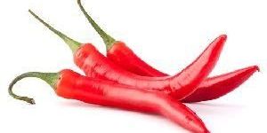 Fresh Red Chilli