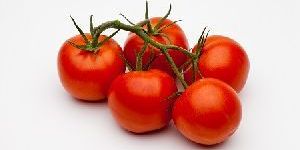 Fresh Tomato
