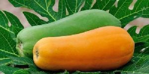 Fresh Papaya