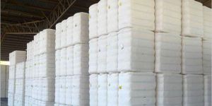 Cotton Bales