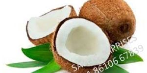 Fresh Coconut