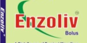 Veterinary Appetizer Bolus