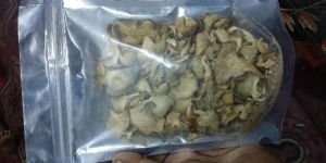 Dry Oyster Mushroom