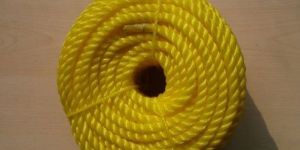 PP Danline Rope