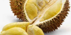 Durian