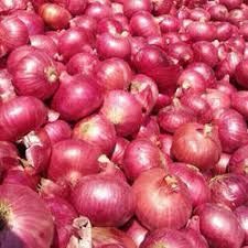 Onions