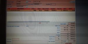 Financial Software Services