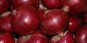 Fresh Red Onion