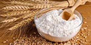 Wheat Flour