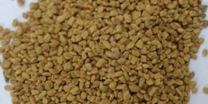 Fenugreek Seeds
