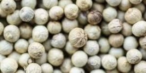 White Pepper Seeds