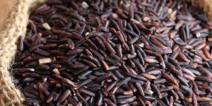 Black Rice