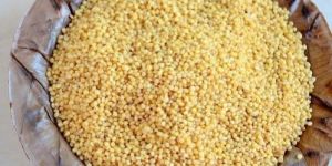 Foxtail Millet