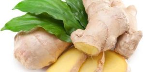 Ginger
