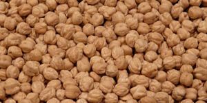 Kabuli Channa