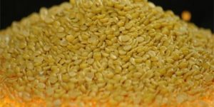 Moong Dal Yellow