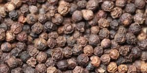 Black Pepper Seeds