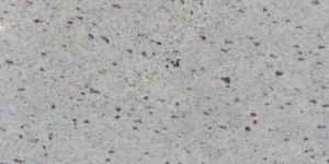 White Galaxy Granite