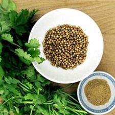 Coriander Seed