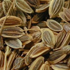 Dill Seed