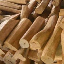Sandalwood Logs